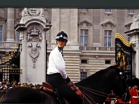 England 1996  London - Buckinham Palace : England Juli 1996