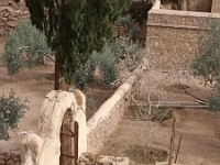 Sinai 76  Katharinenkloster
