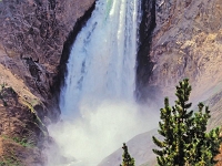 Yellowstone-Nationalpark 14 1