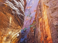 Zion-Canyon 3 1
