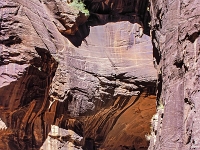 Zion-Canyon 8 1