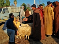 pc264899 1  Marokko_2004 / Stadt Taroudannt und Markt