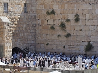 p5276995 f 1  Israel_2017 / Jerusalem - an der Klagemauer