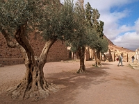 Sinai 74  Katharinenkloster