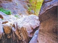 Zion-Canyon 4 1