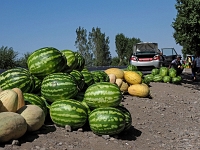 wunderbar schmeckende Melonen  Usbekistan 2018