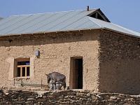 Nurata Berge - in einem Haus  Usbekistan 2018